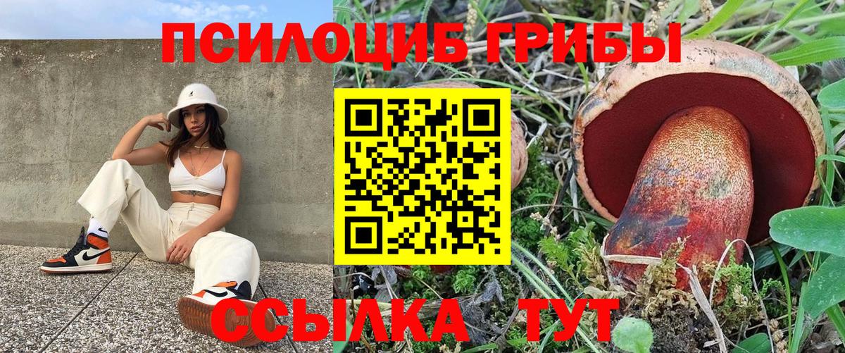 Волжск  даркнет сайт  Псилоцибиновые грибы Magic Shrooms  Вход с VPN  Галлюциногенные грибы Psilocybe 