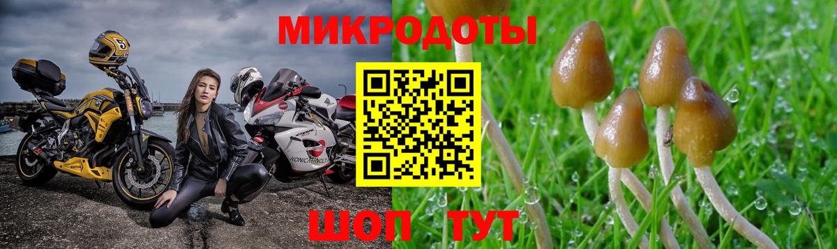 Псилоцибиновые грибы мицелий Волжск