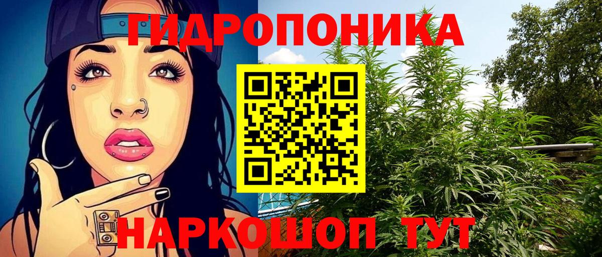 Волжск  Каннабис индика  Шишки марихуана OG Kush  Бошки марихуана индика  Вход с VPN 